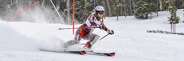 Lobo skier