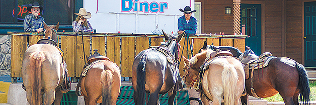 horses at the diner